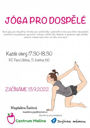 Joga pro dospělé